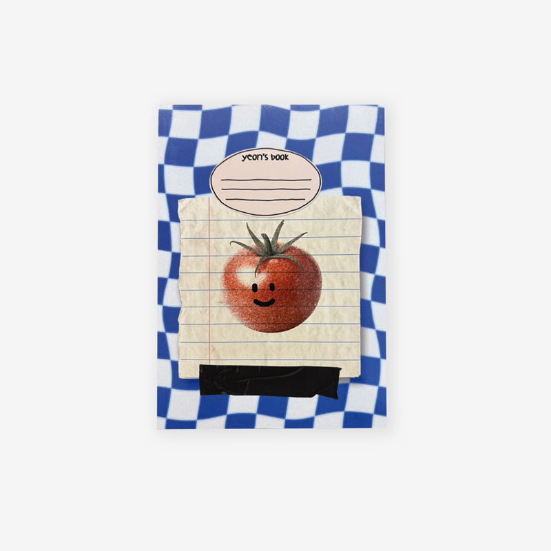 Check Pattern Tomato Notebook